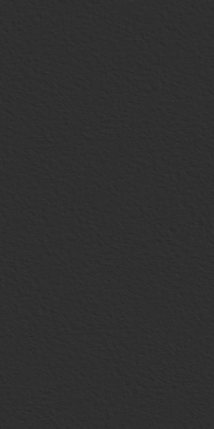 StaroSlabs Matt Black Texture 1600х3200х12