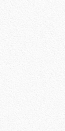 StaroSlabs Matt White Texture 1600х3200х12