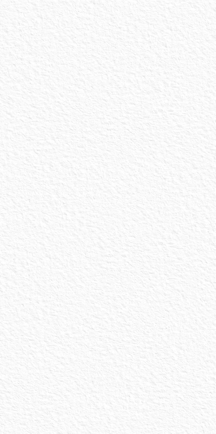 Настенная плитка StaroSlabs White Texture 1600х3200х12 (1600x3200)