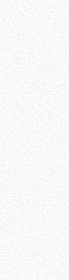 Настенная плитка StaroSlabs White Texture 800х3200х12 (800x3200)