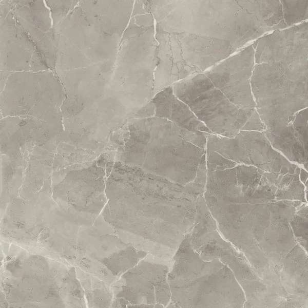 Elegant greige lux 60 (600x600)