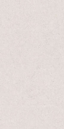 Tau Calcare Decor White 60x120