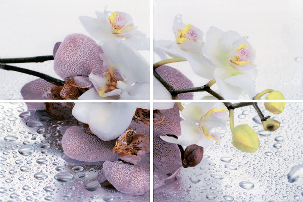 Терракота Alba Orchid Цветы (компл. из 4х пл.)