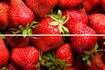 Strawberry 20х30 (300x200)