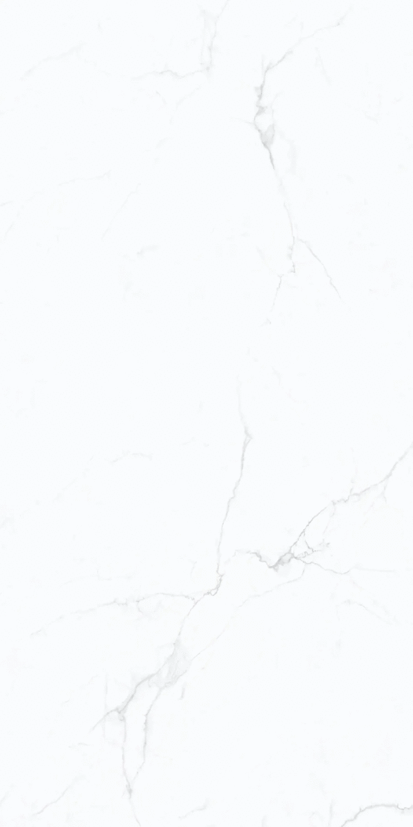 TR61218T Керамогранит Terramic Tiles Frost Whisper Карвинг матовая 60x120 (600x1200)