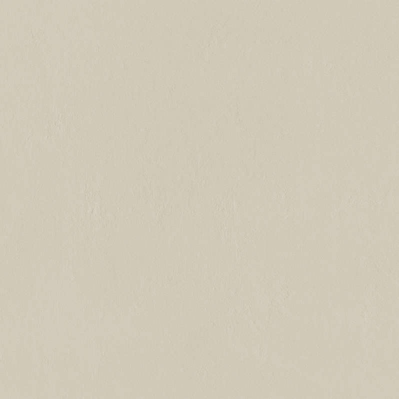 Cream 79.8 (798x798)