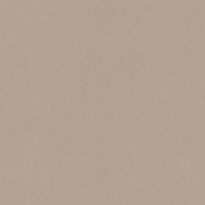 Beige 79.8 (798x798)