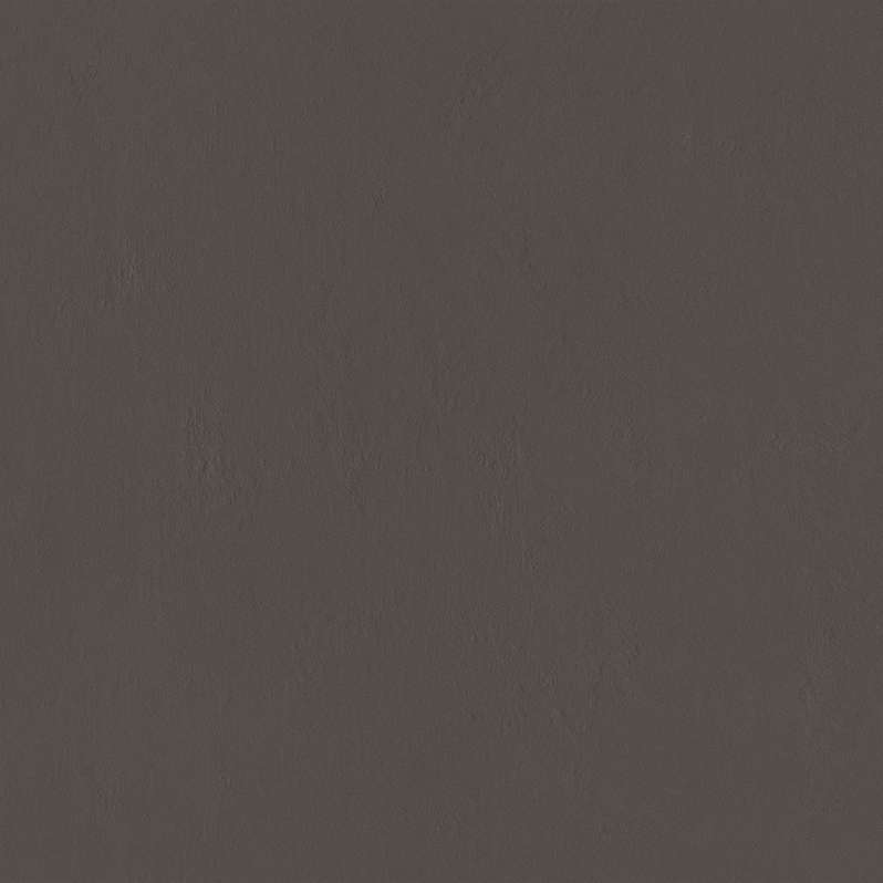 Dark Brown 79.8 (798x798)