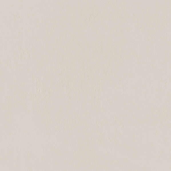 Light Grey 59.8 (598x598)