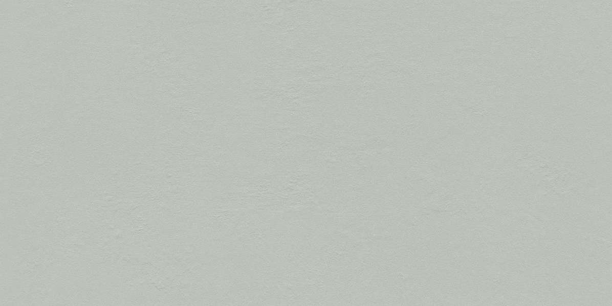 Grey 59.8x119.8 (1198x598)