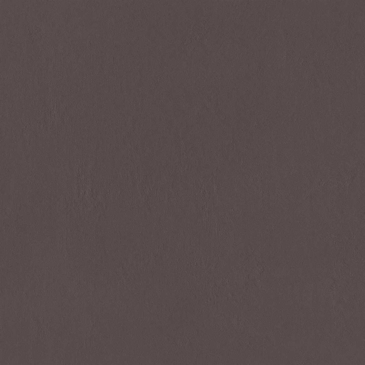 Dark Brown 119.8 (1198x1198)