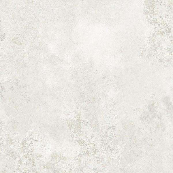 White Lapp. 79.8 (798x798)