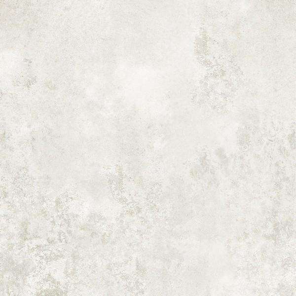 White Lapp. 119.8 (1198x1198)