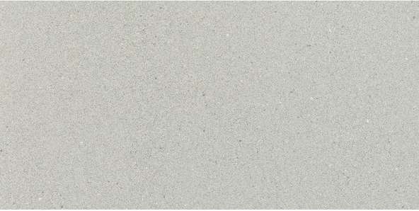 Grey 29.8x59.8 (598x298)