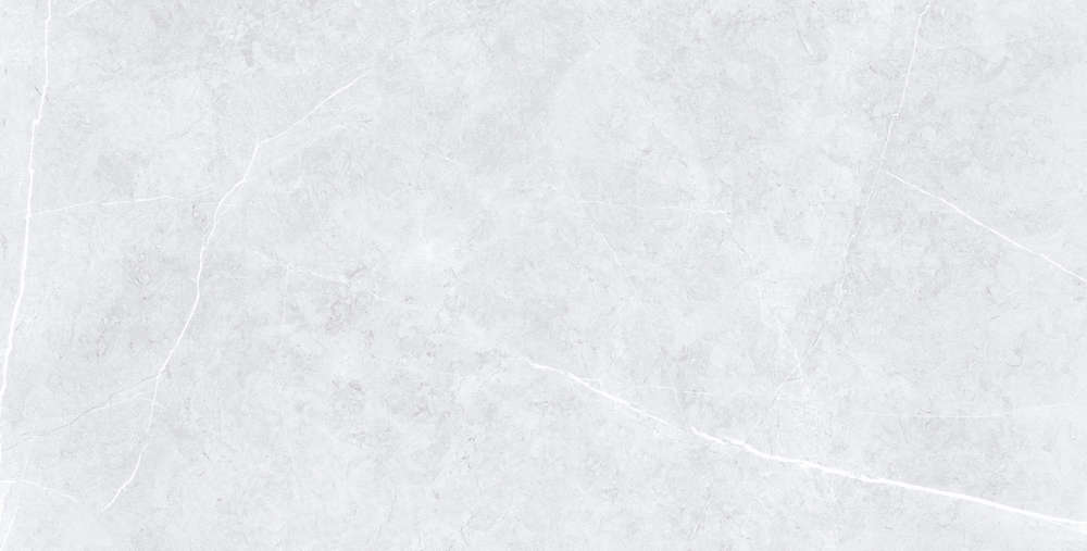 Grey Polished (1200x600)