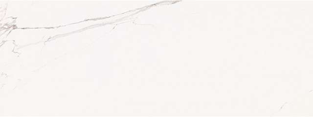 Порселаноза Artic Gloss