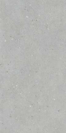 Витра FlakeCement Серый МатR10A 60x120 (1.44) 9мм
