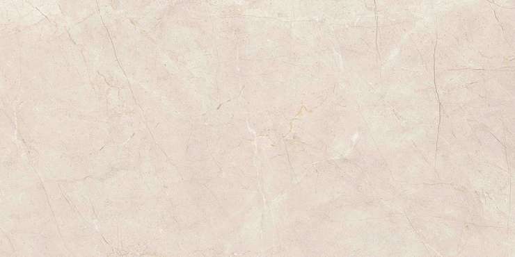 Витра MoonLight Греж Матовый R10A Ректификат 60x120