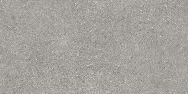 Витра Newcon Серебристо-Серый Матовый R10A Ректификат 60x30 (VTEP новый артикул)