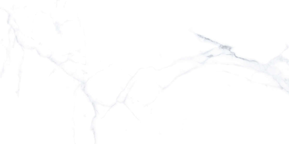 Белый Матовый R10A Ректификат 60x120 (1200x600)