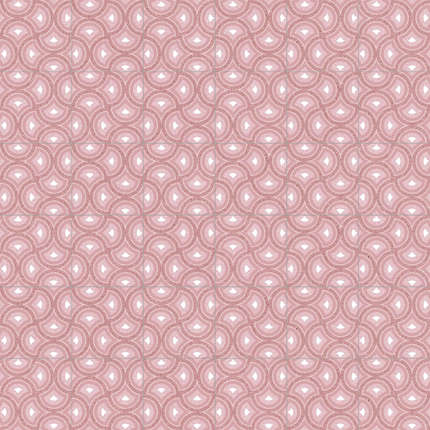 Вивес Benaco Pigneto Coral