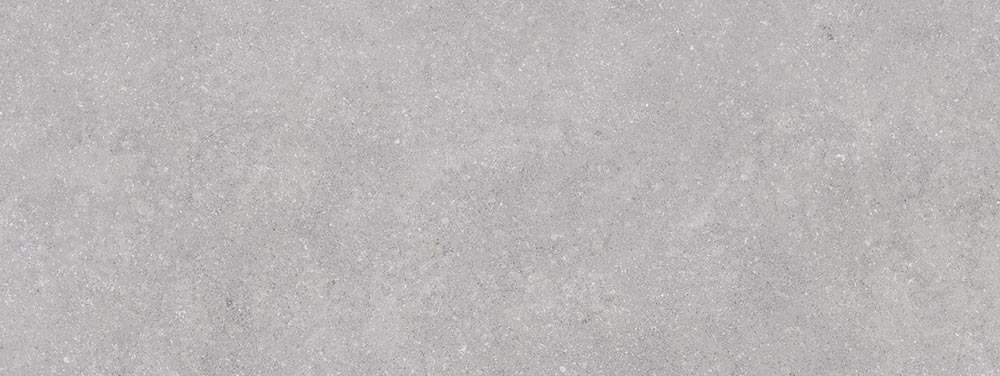 R Gris (1200x450)