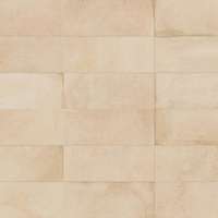 Beige 20x50 (500x200)