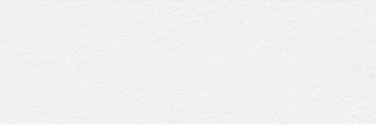 Вивес Omicron Nieve