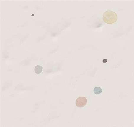 Вивес Paola Ariel B