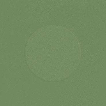 Вивес Zepto Tera Verde 13x13