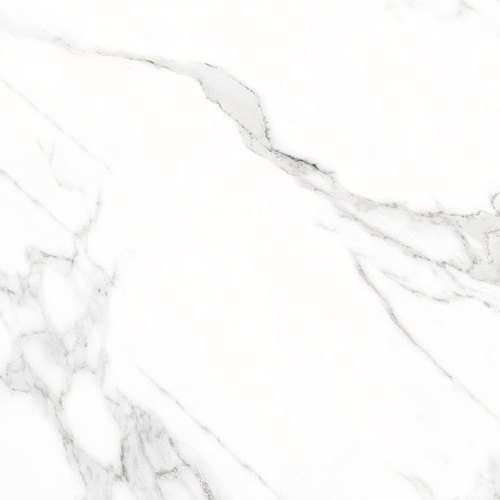 Doney-R Blanco Pulido 119.3x119.3 (1193x1193)