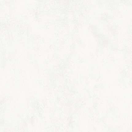 Вивес New York R Blanco R10 80x80 