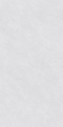 Визави Glazed ZA-D12602 PR 1200x600x9