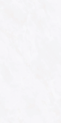 Визави Glazed ZA-D12603 PR 1200x600x9