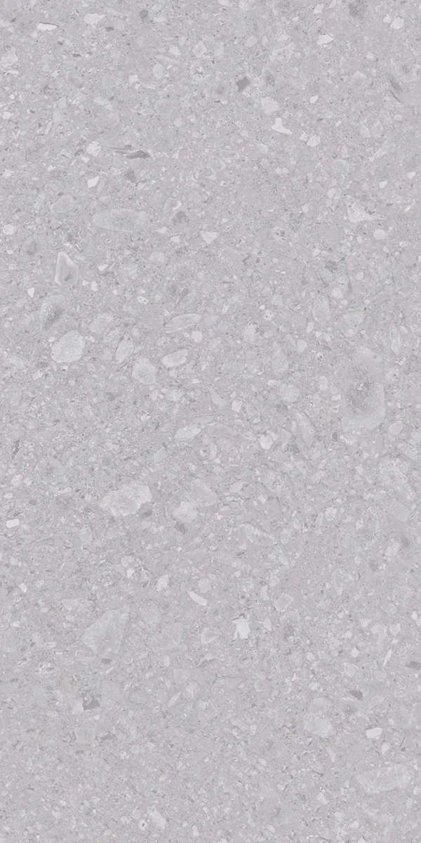 Керамогранит Vizavi ZA-D12516 Glazed MR 1200x600x9 (600x1200)