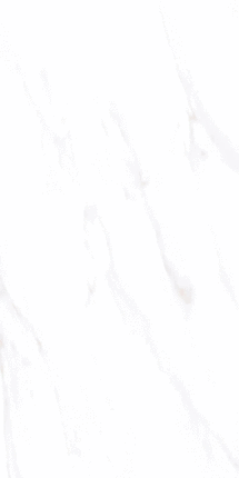 Визави Lande ZA-L12614 PR 1200x600x9