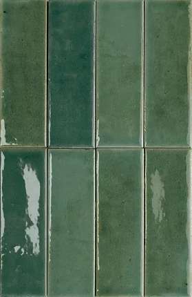 Вау Colour Notes  Fennel 4x12.5