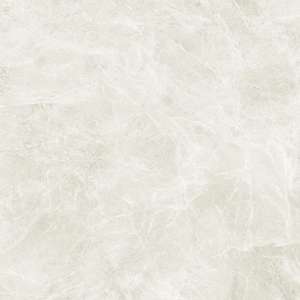 Premium 120x120 Beige Polished (1200x1200)