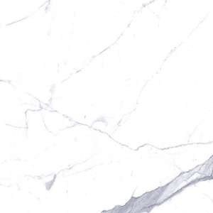 Premium 120x120 White Polished (1200x1200)