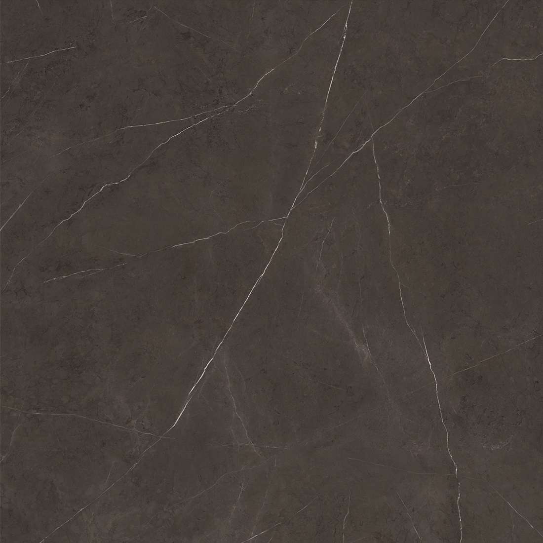 Premium Dark Polished 6 мм 120 (1200x1200)