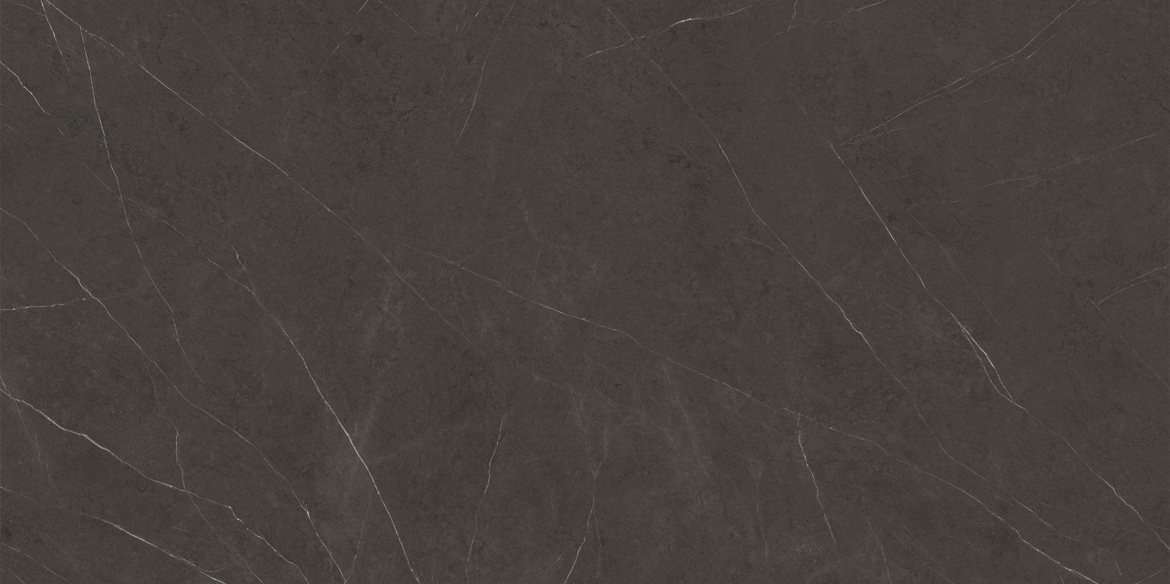 Premium 120x250 Dark Polished 6 мм (2500x1200)