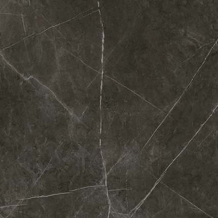 Икс-Лайт Savage Premium 120x120 Dark Polished