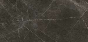 Premium 120x250 Dark Polished (2500x1200)