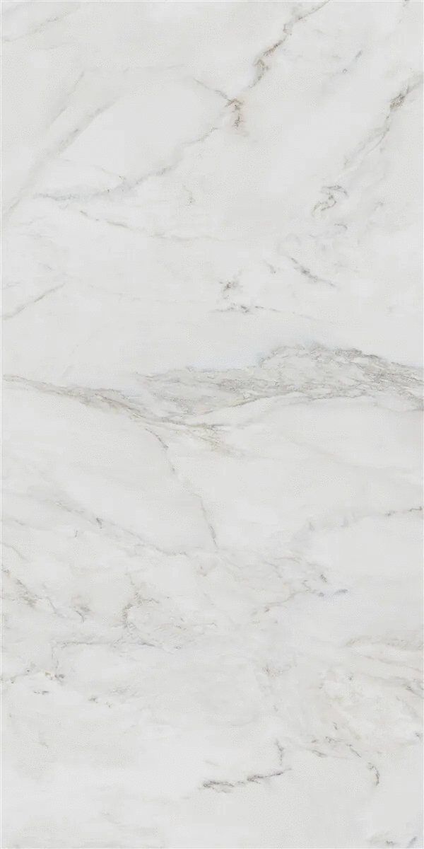 White Polish Rec 60x120 (600x1200)