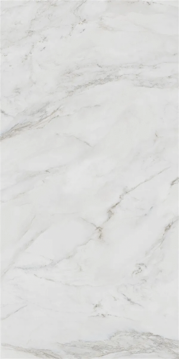 White Polish Rec 60x120 (600x1200)