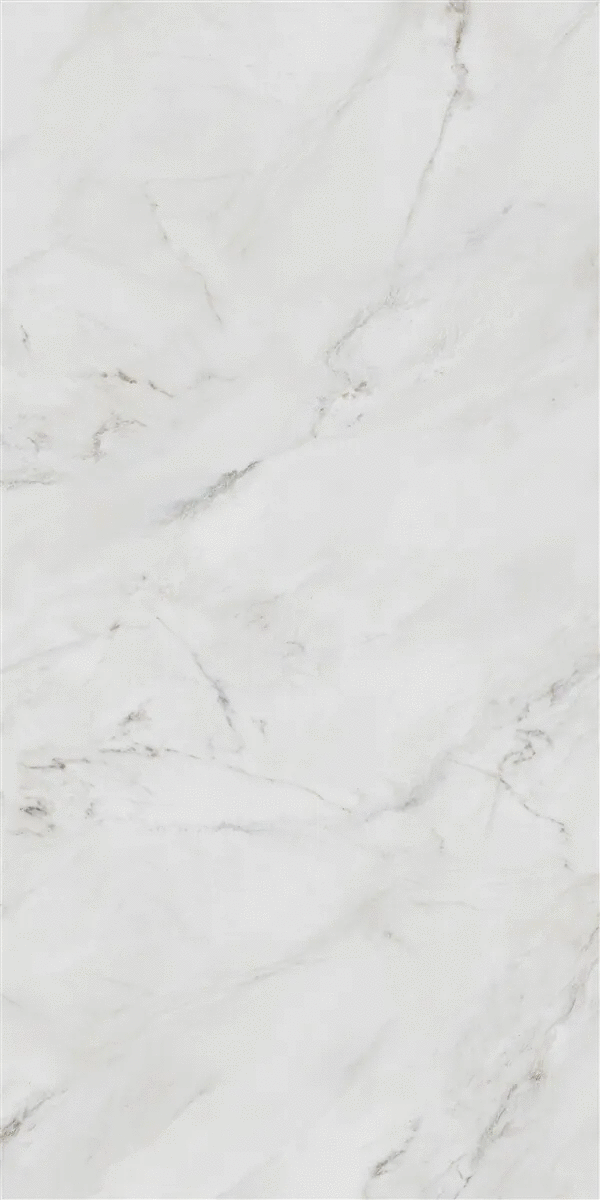 White Polish Rec 60x120 (600x1200)