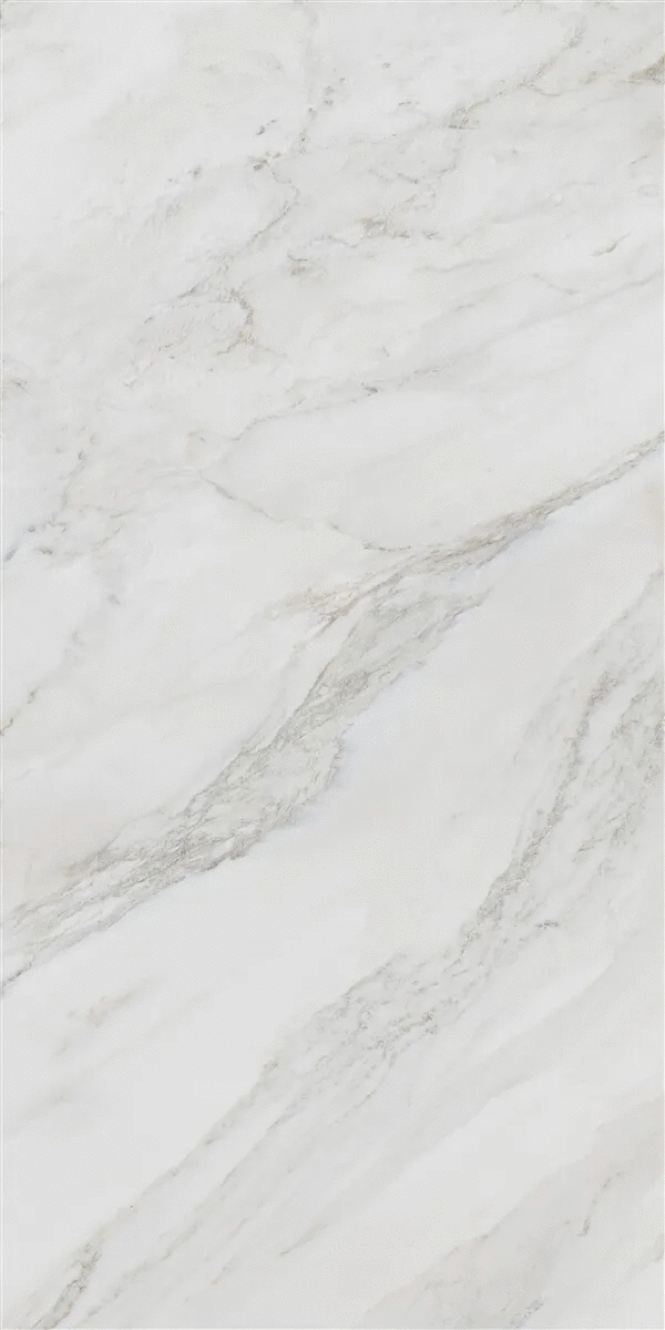 White Polish Rec 60x120 (600x1200)