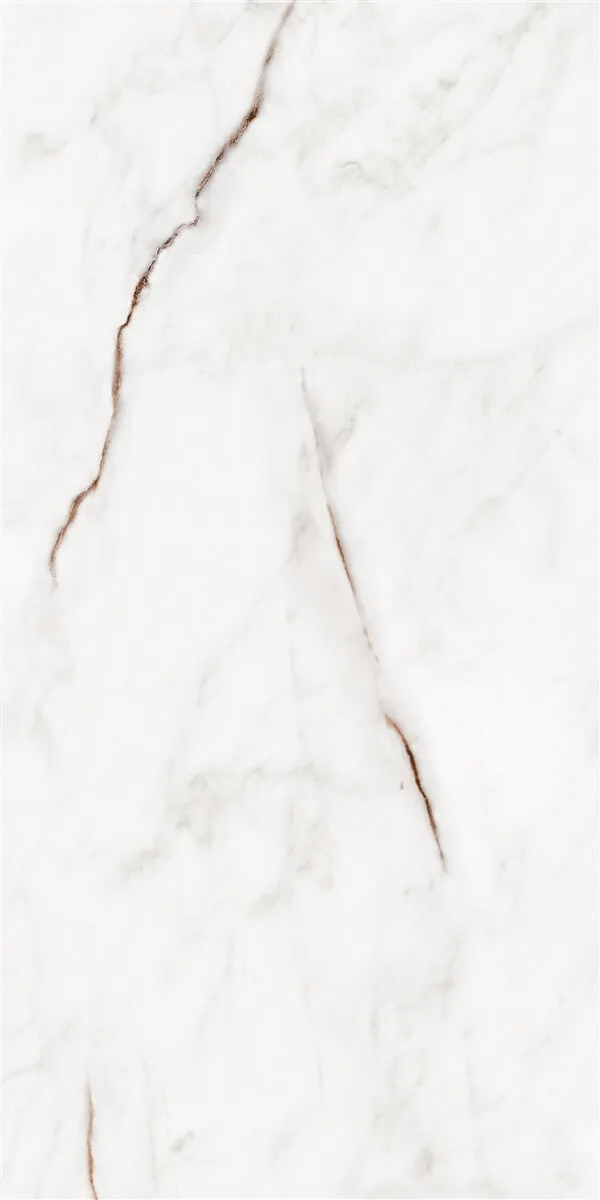 Beige Polish Rec 60x120 (600x1200)