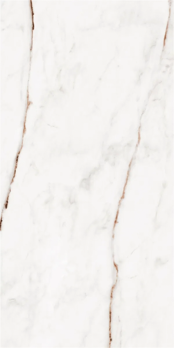 Beige Polish Rec 60x120 (600x1200)