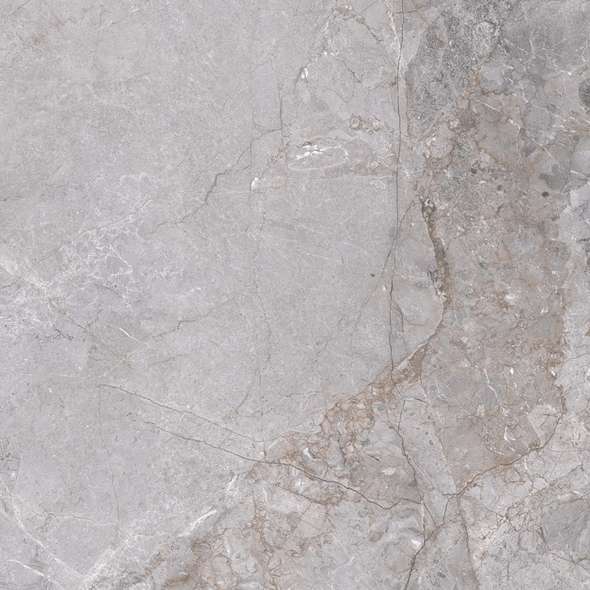 Fior di bosco Grey 59х59 (590x590)